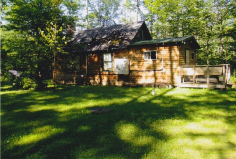 Whitetail Woodlands